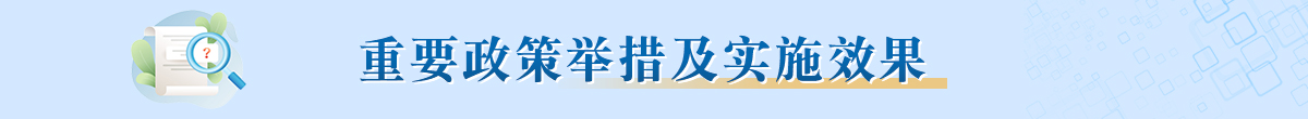 重要政策举措及实施效果