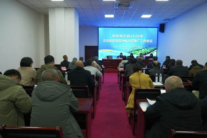 聚焦冷凉蔬菜产业 科技赋能乡村振兴.jpg