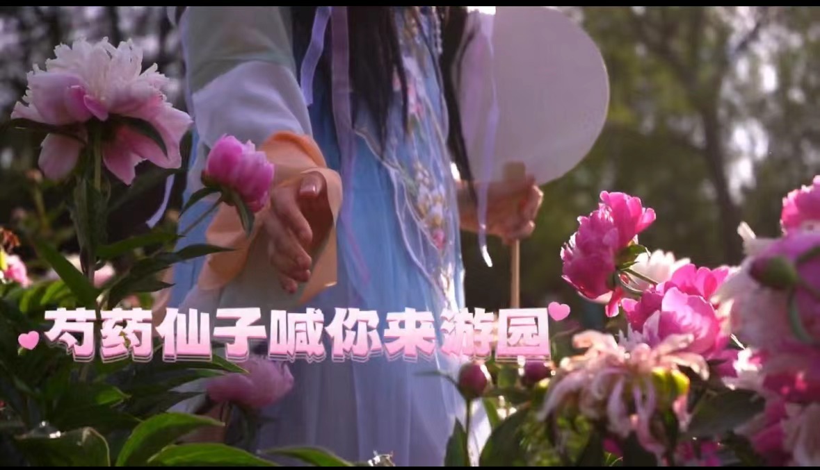 芍药仙子喊你来游园!