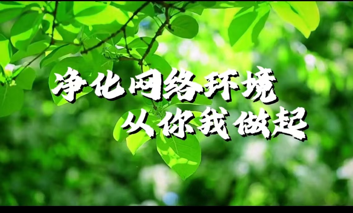 净化网络环境 从你我做起