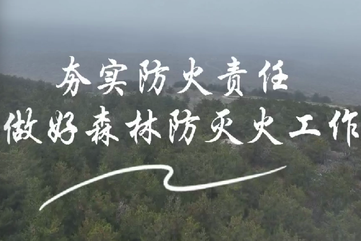 夯实防火责任 做好森林防灭火工作