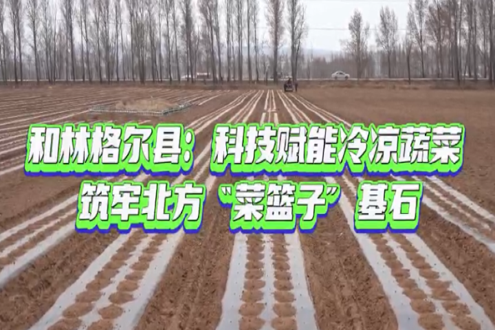 和林格尔县：科技赋能冷凉蔬菜 筑牢北方“菜篮子”基石
