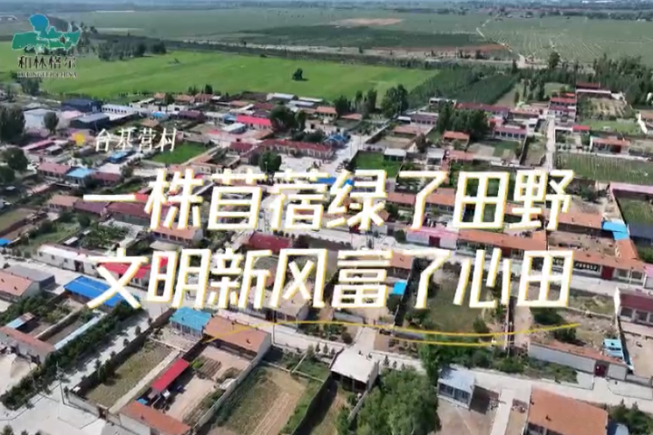 台基营村：一株苜蓿绿了田野   文明新风富了心田