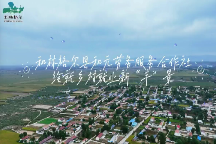 和林格尔县和元劳务专业合作社：绘就乡村就业新“丰”景