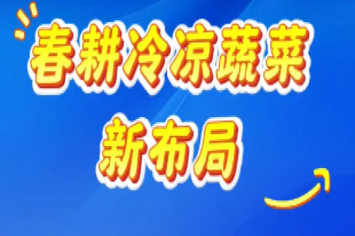 春耕冷凉蔬菜新布局：早播胡萝卜抢“鲜”机 科技兴农促增收