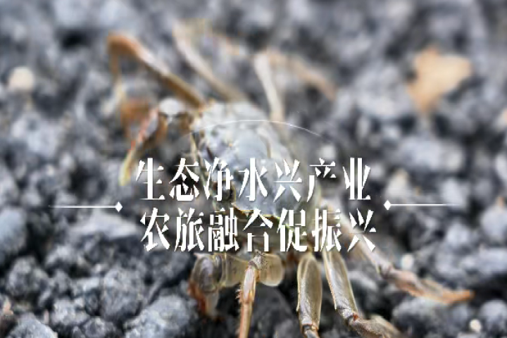 生态净水兴产业 农旅融合促振兴