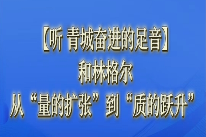 和林格尔：从“量”的扩张 到“质”的飞跃