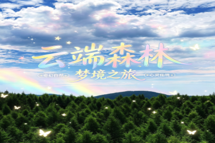 映像和林·云端森林