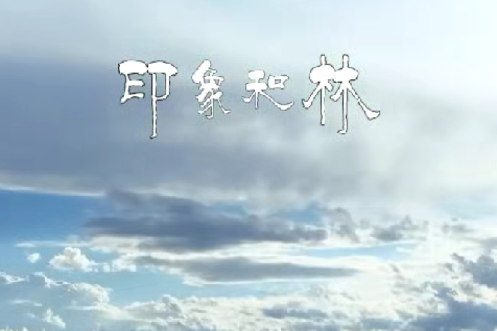 印象和林：白音陶海·浑河段