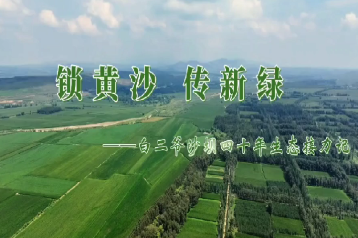 锁黄沙·传新绿 ——白二爷沙坝四十年生态接力记