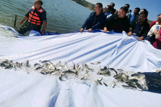 呼和浩特市秋季渔业资源增殖放流活动在和林县前窑子水库举行