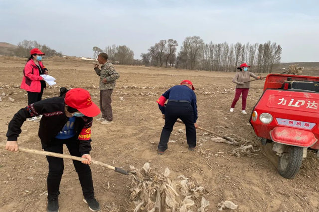 和林格尔县：秸秆禁烧在行动相关图片