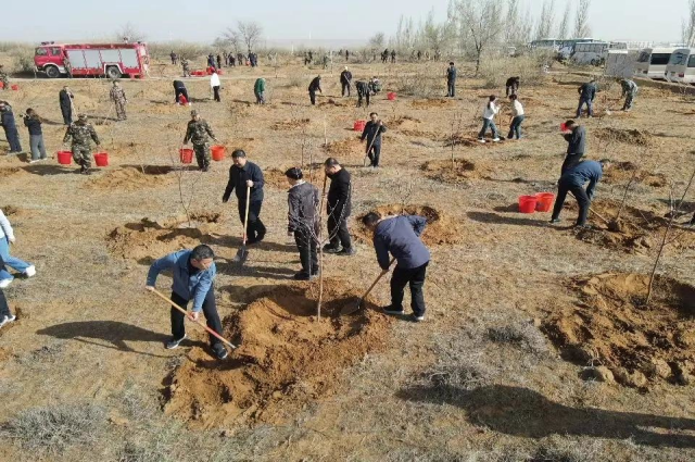履行植树义务 共建美丽内蒙古——和林格尔县  开展全民义务植树活动