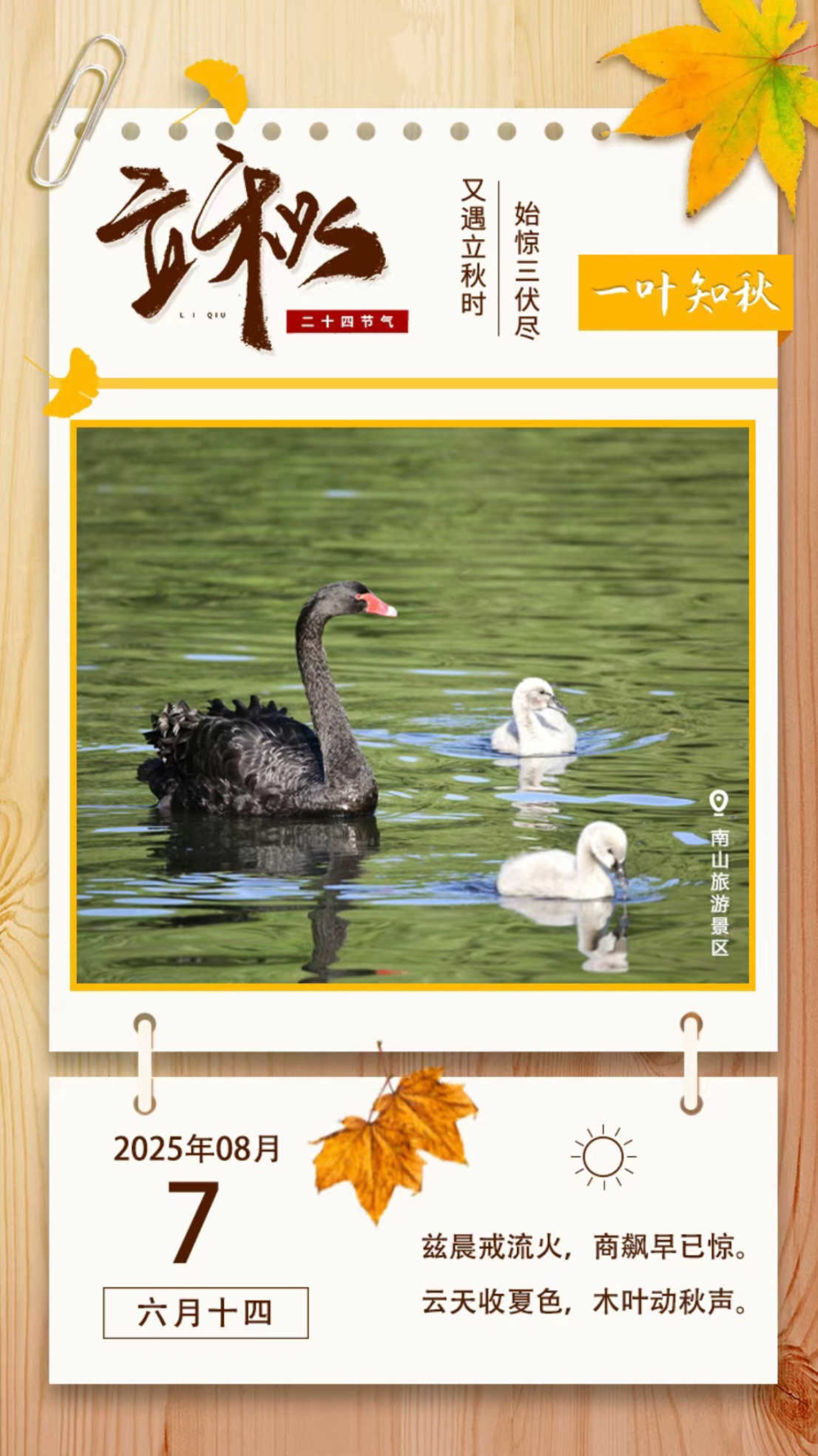 二十四节气 | 立秋