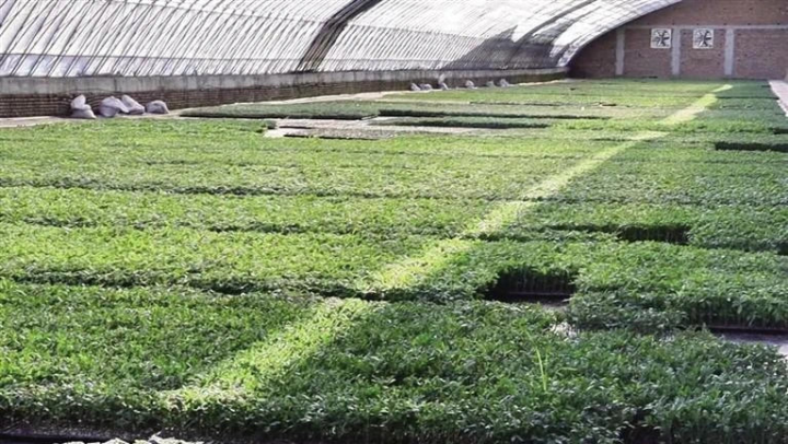 和林格尔县：科技为笔绘新卷