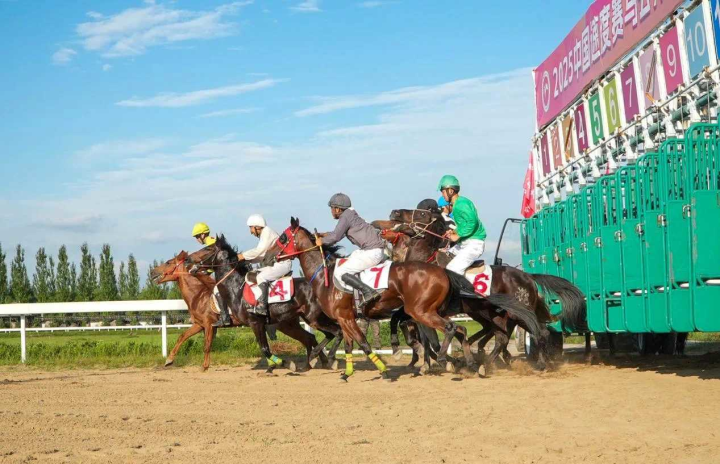 2025中国速度赛马公开赛（呼和浩特站）在和林格尔县开赛