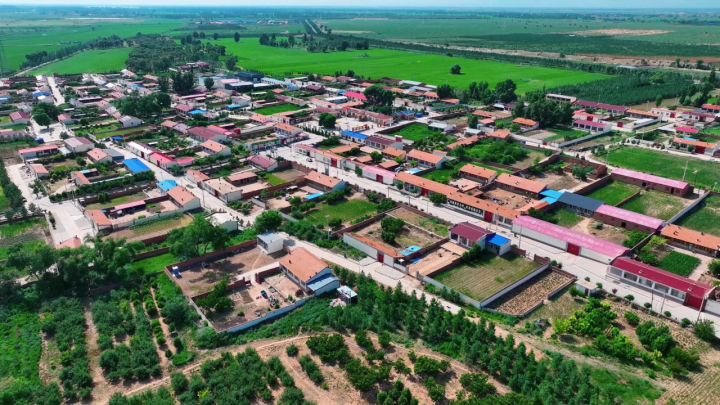 台基营村：党建引领 “草” 兴村 绘就乡村新图景