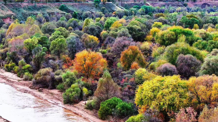 和林格尔县：浑河秋光浸诗意