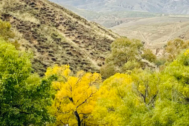 和林格尔县：红橙黄绿映秋色