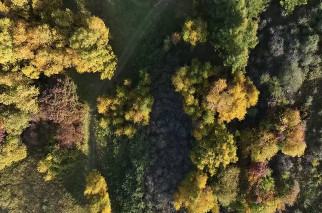 来和林格尔县 感受内蒙古秋景的魅力