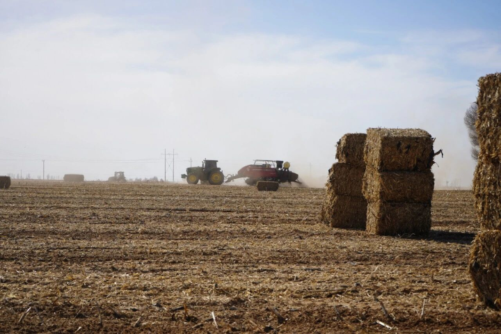 推进秸秆资源化利用 筑牢春耕生态防线.jpg