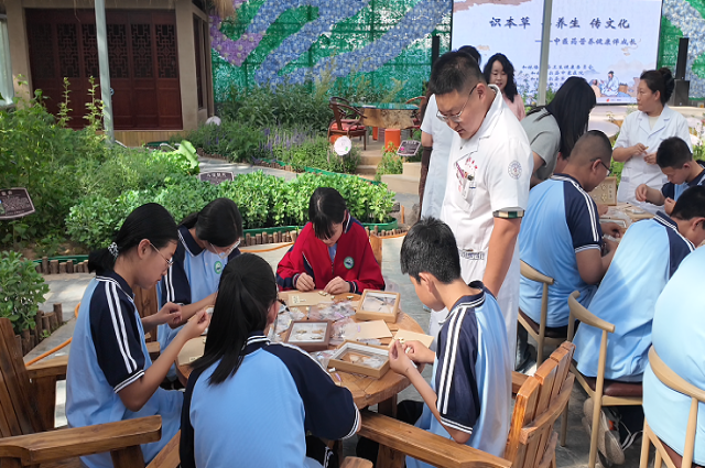 和林格尔县：体验中医药文化 筑牢青少年健康根基