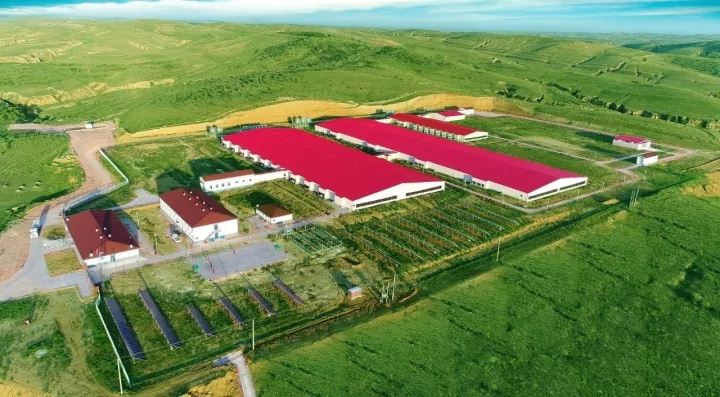 正大集团内蒙古百万生猪全产业链项目