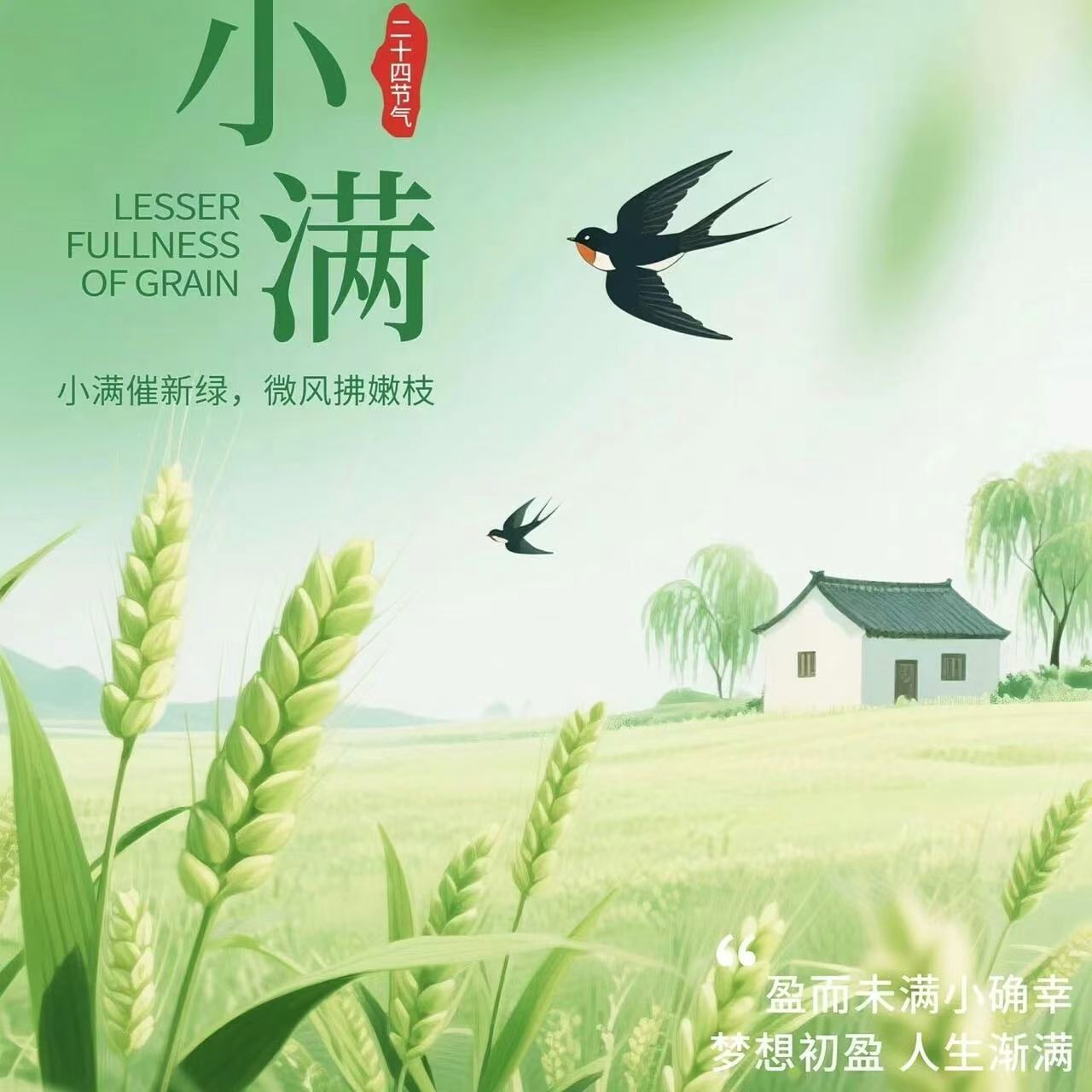 【文明兴和林】万物小得盈满  人间恰逢温柔