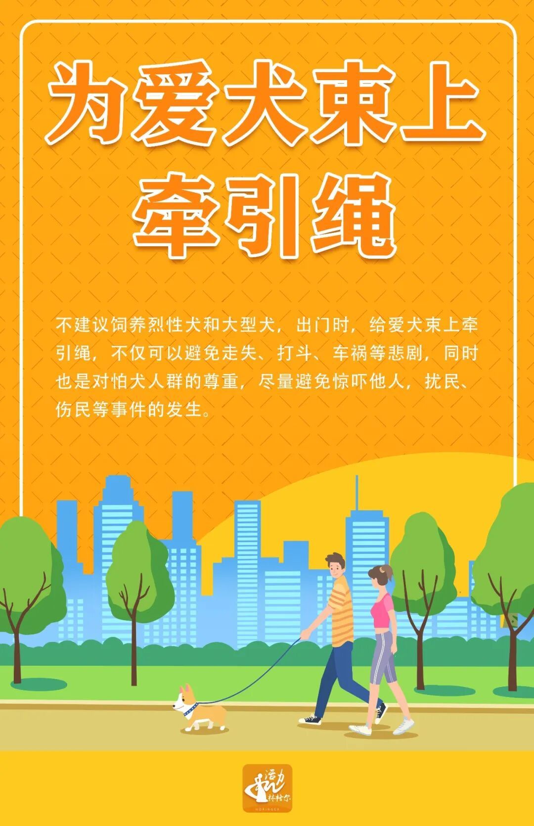 【文明兴和林】牵紧“文明绳”  做文明养犬人