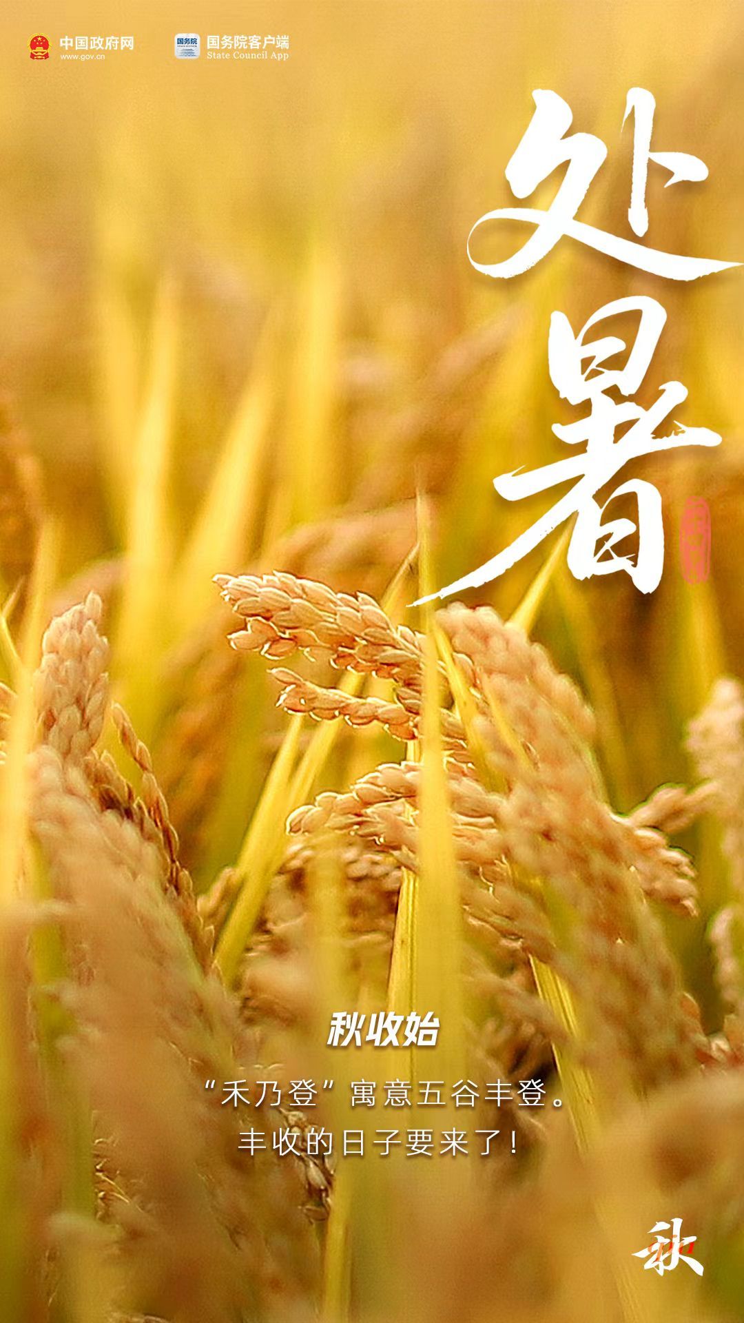 【文明兴和林】清风解暑意  万物入清秋