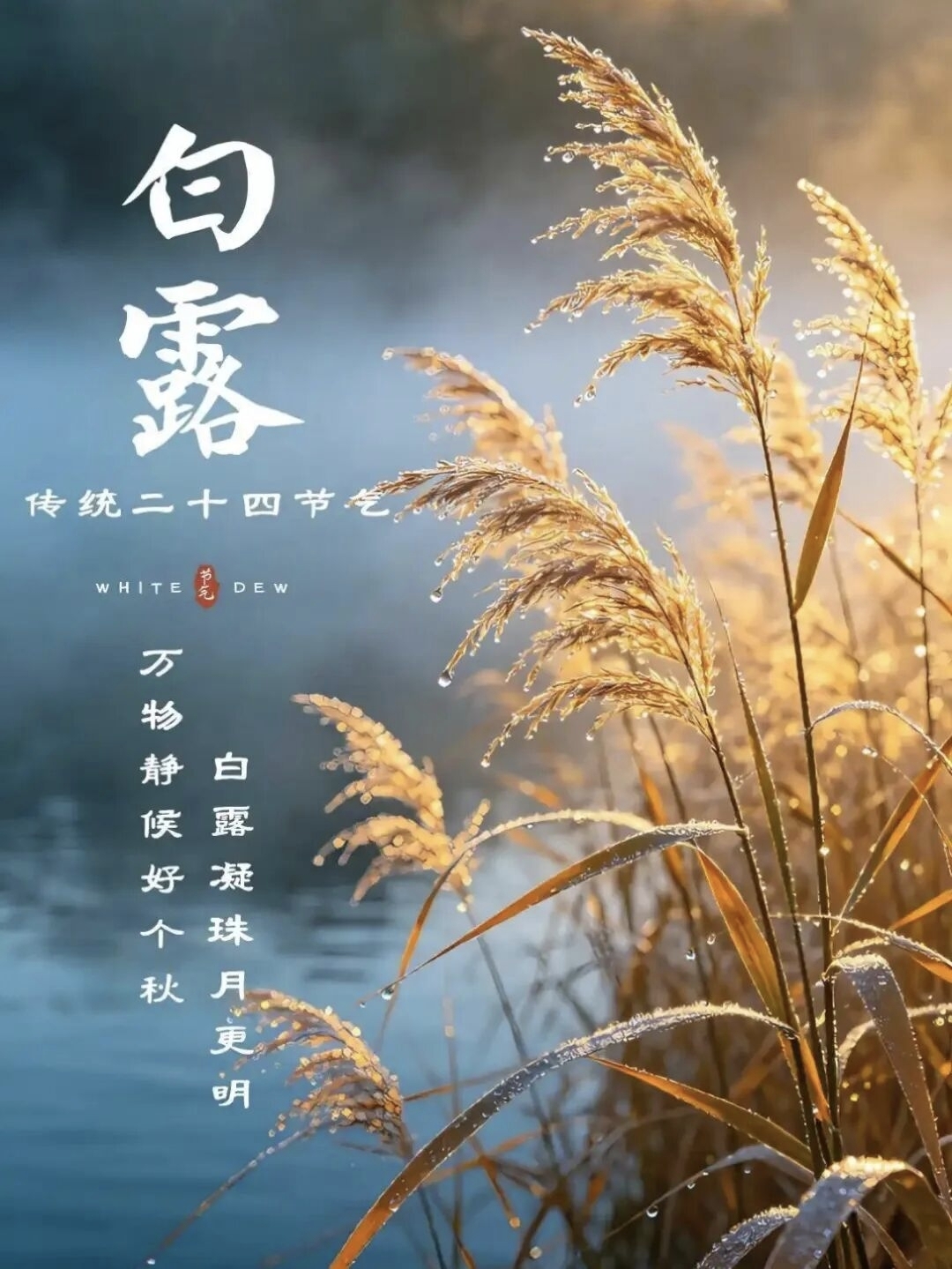 【文明兴和林】今日白露，愿你从容自在！